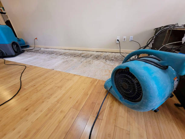 Reliable Basement Flood Cleanup contractor in Hallsville, TX by Hirex Water Damage