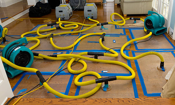 Professional Basement Flood Cleanup technician working in Hallsville, TX